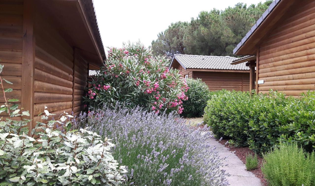 Parc Residentiel Les Hauts De Baldy Hotel Agde Exterior photo